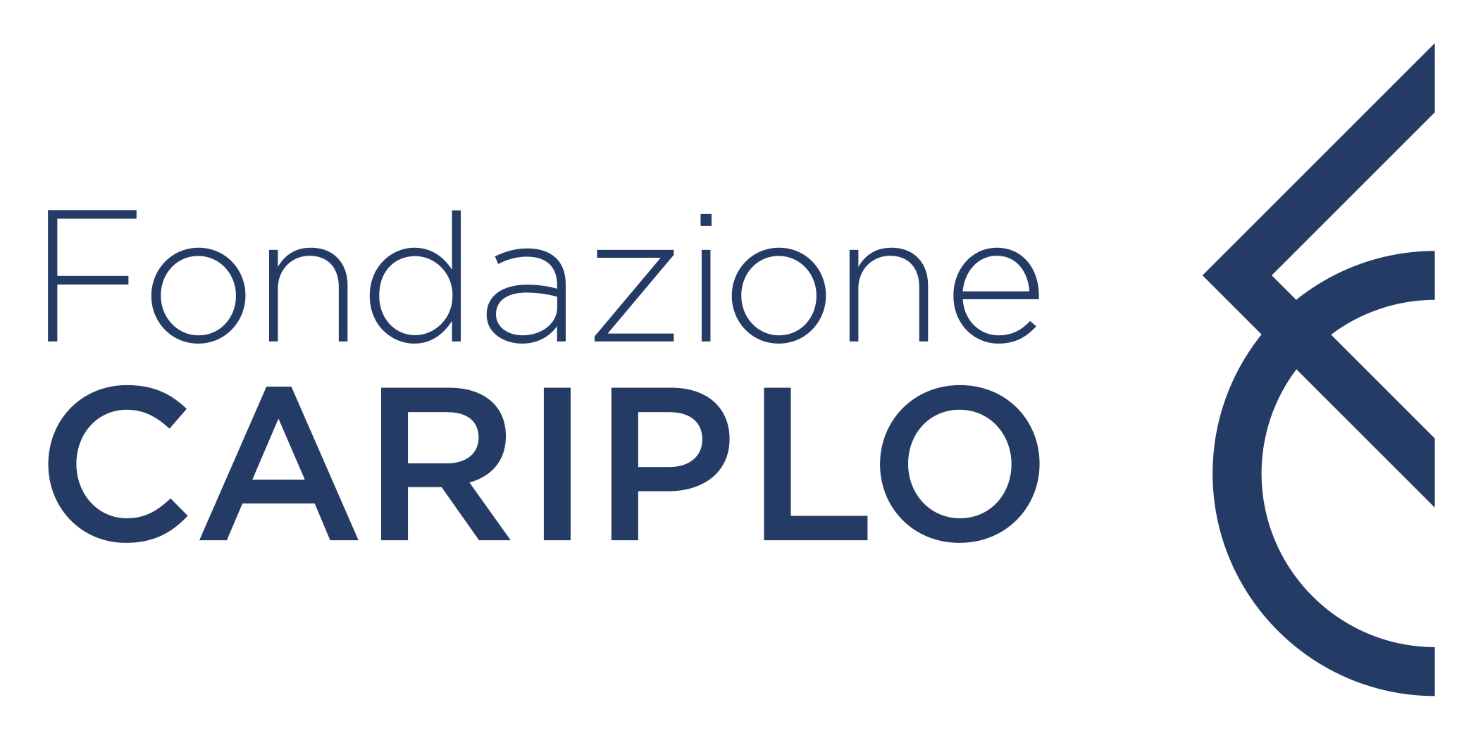 Logo fondazione Cariplo taglio